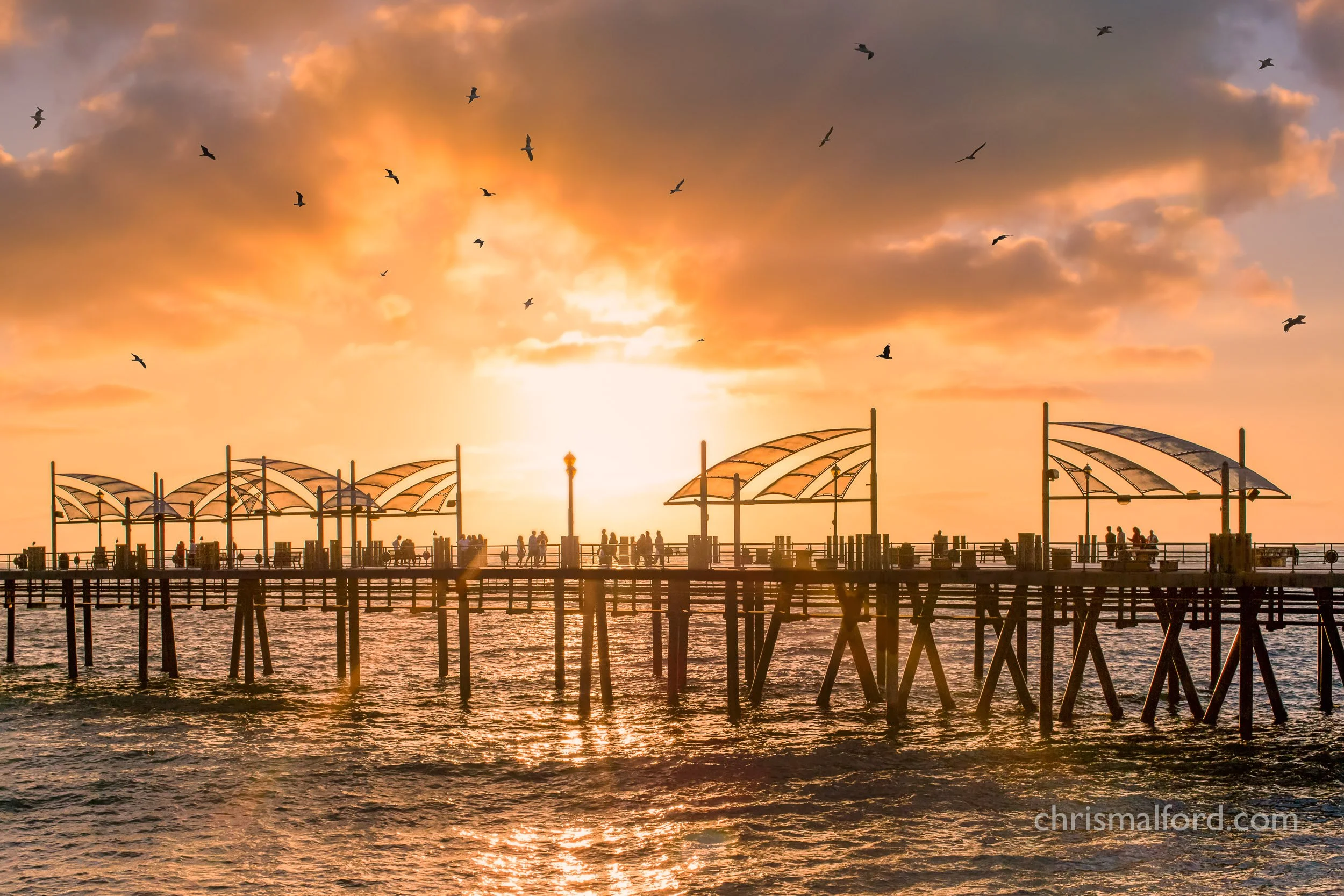 portfolio-sunset-at-the-redondo-beach-pier-in-caliifornia-with silhouette-of-sails-and-seagulls-in-the-sky-photograph-by-chris-alford.jpg