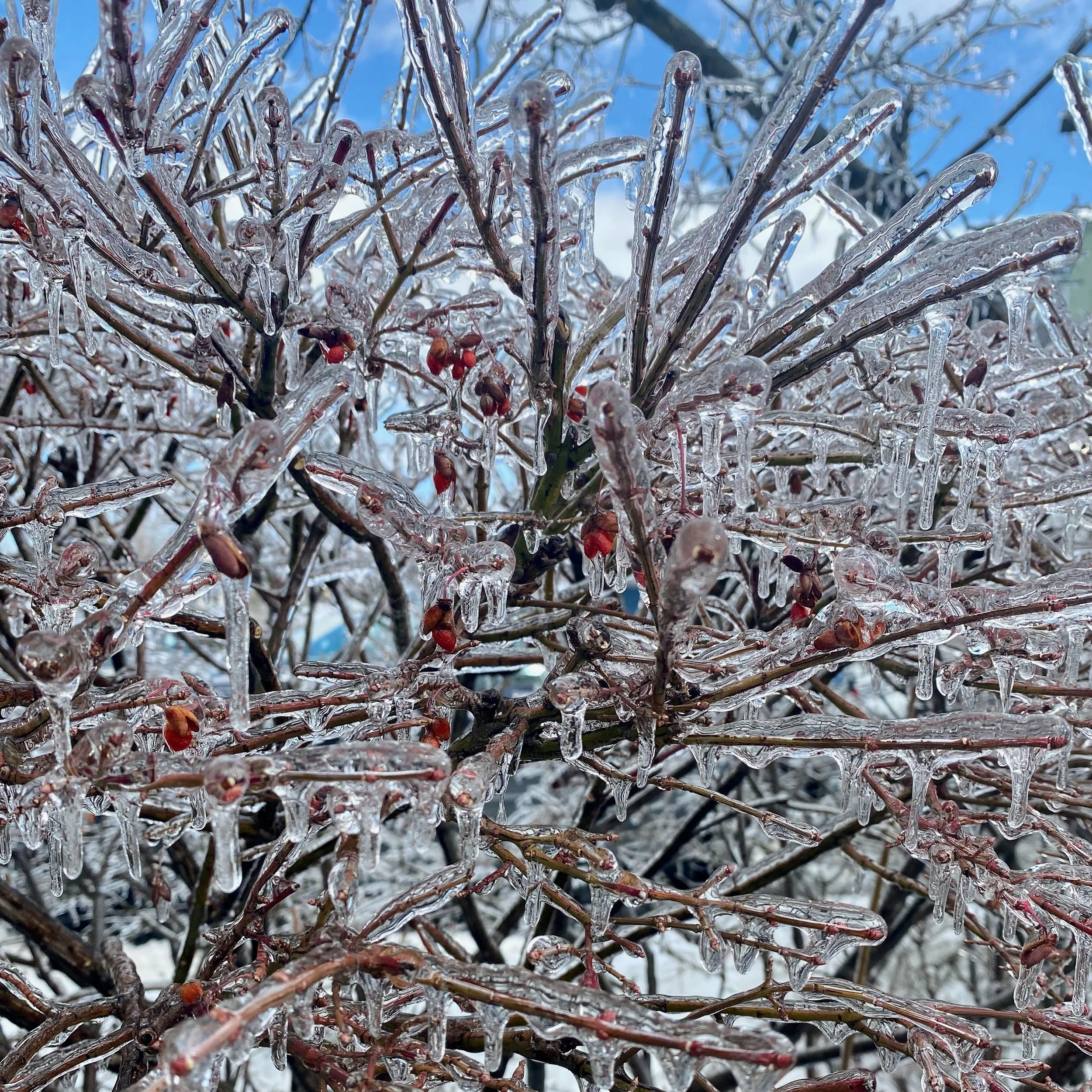 FullSizeRender 8.jpeg