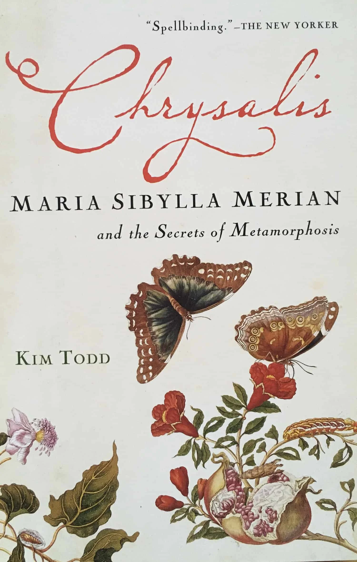 Chrysalis cover website 2 PS_1.jpg