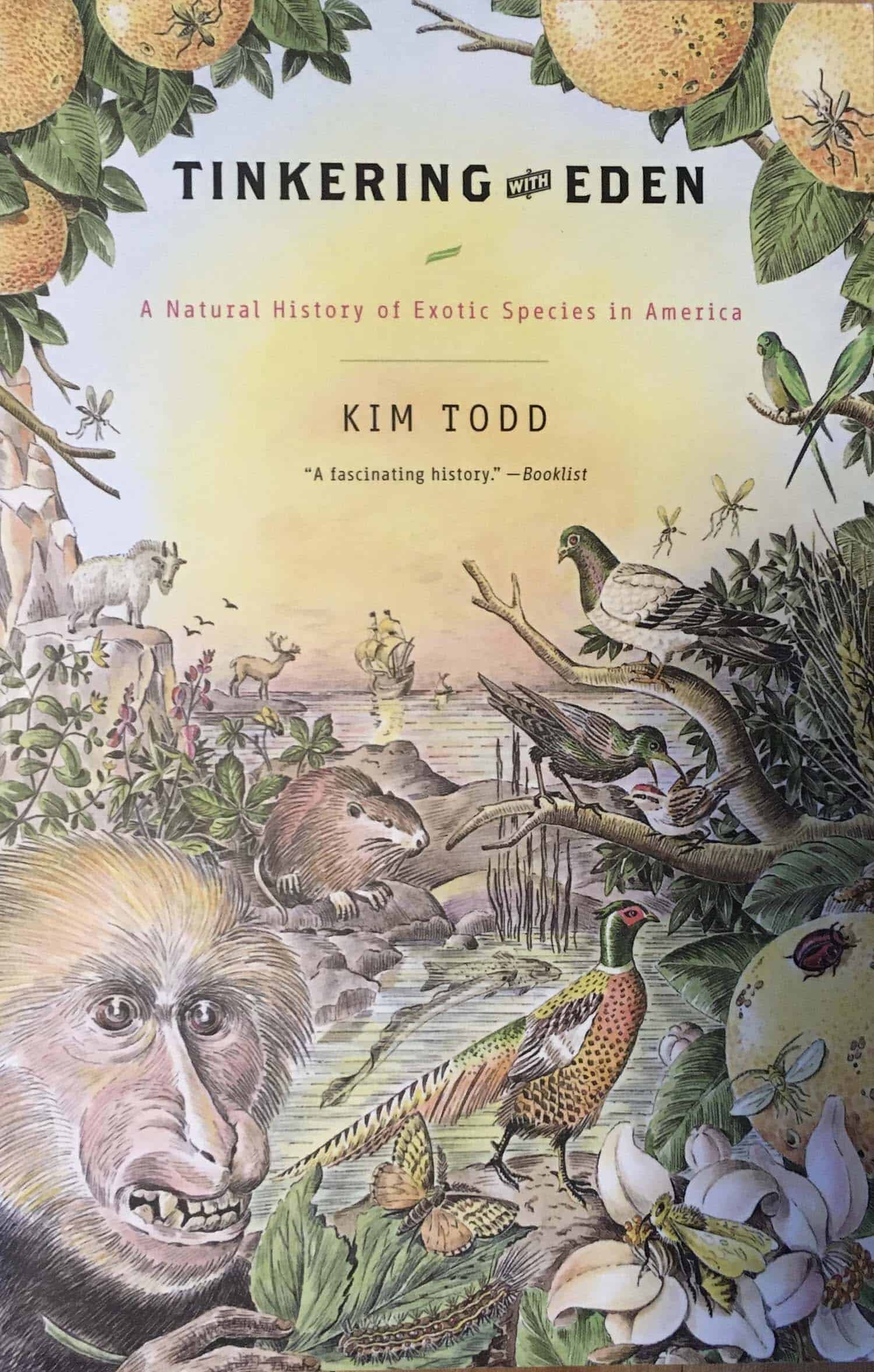 Tinkering Cover website PS_1.jpg