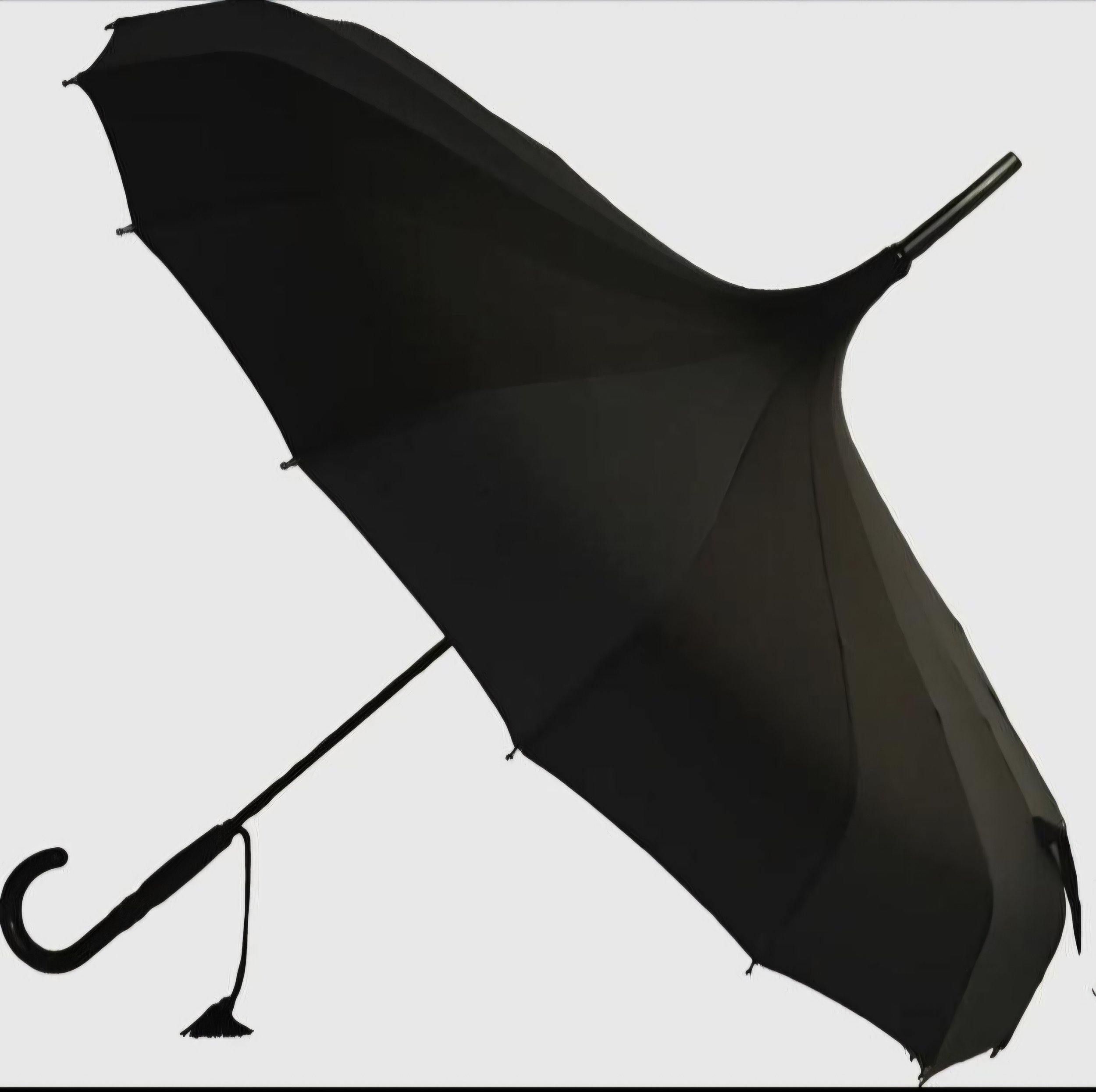 Black pagoda umbrella.jpg