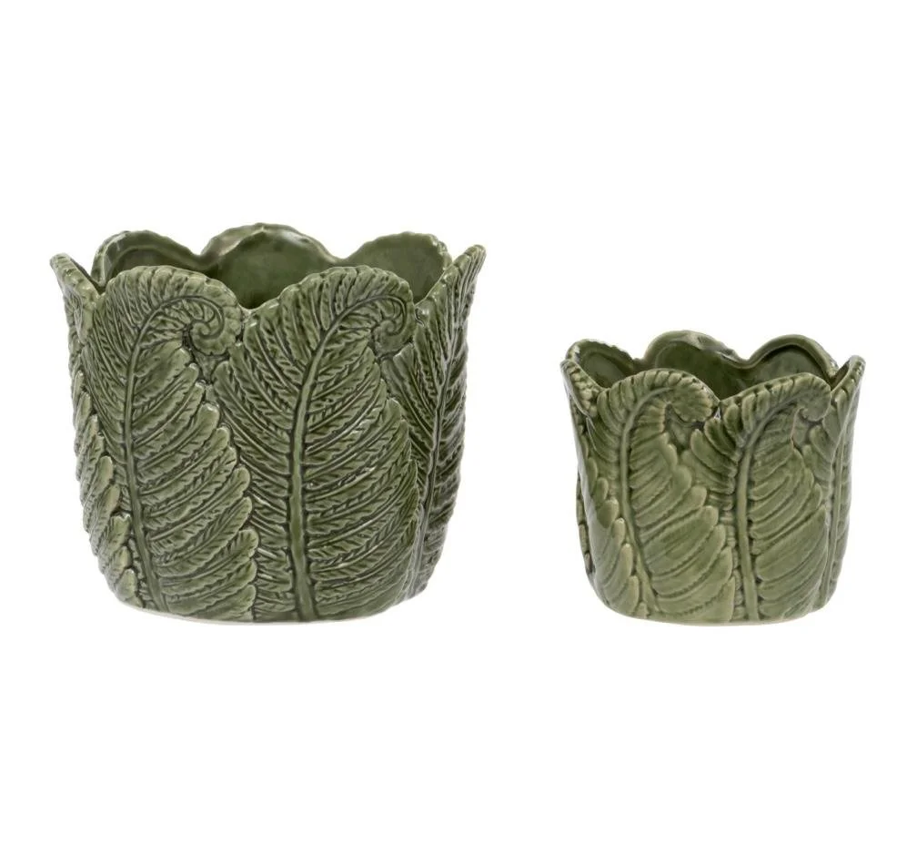 Fern Pots