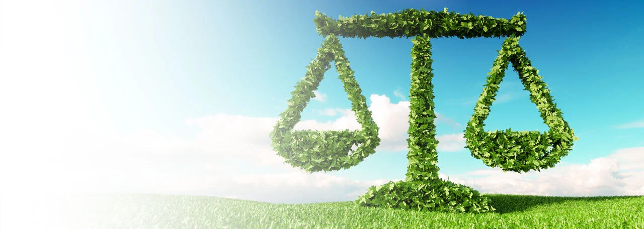 Navigating Regulations in ESG Investing 