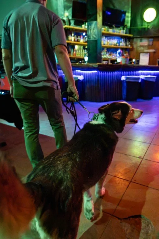 G80A9785 (Medium).jpg