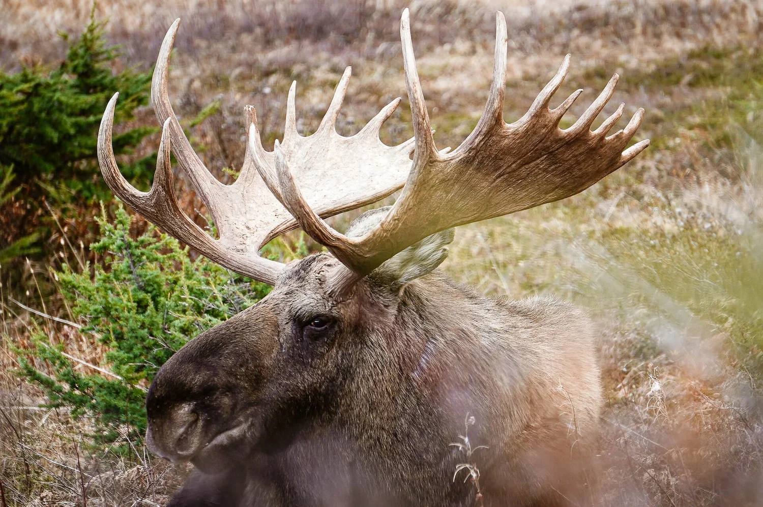 VISITING ANCHORAGE ALASKA IN SEPTEMBER visual data 7