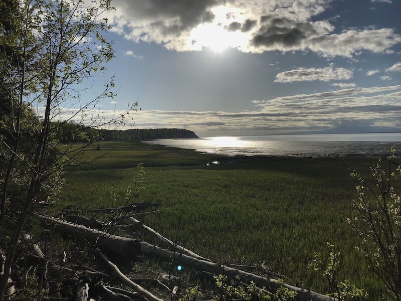 coastal-trail-walk-family.jpeg