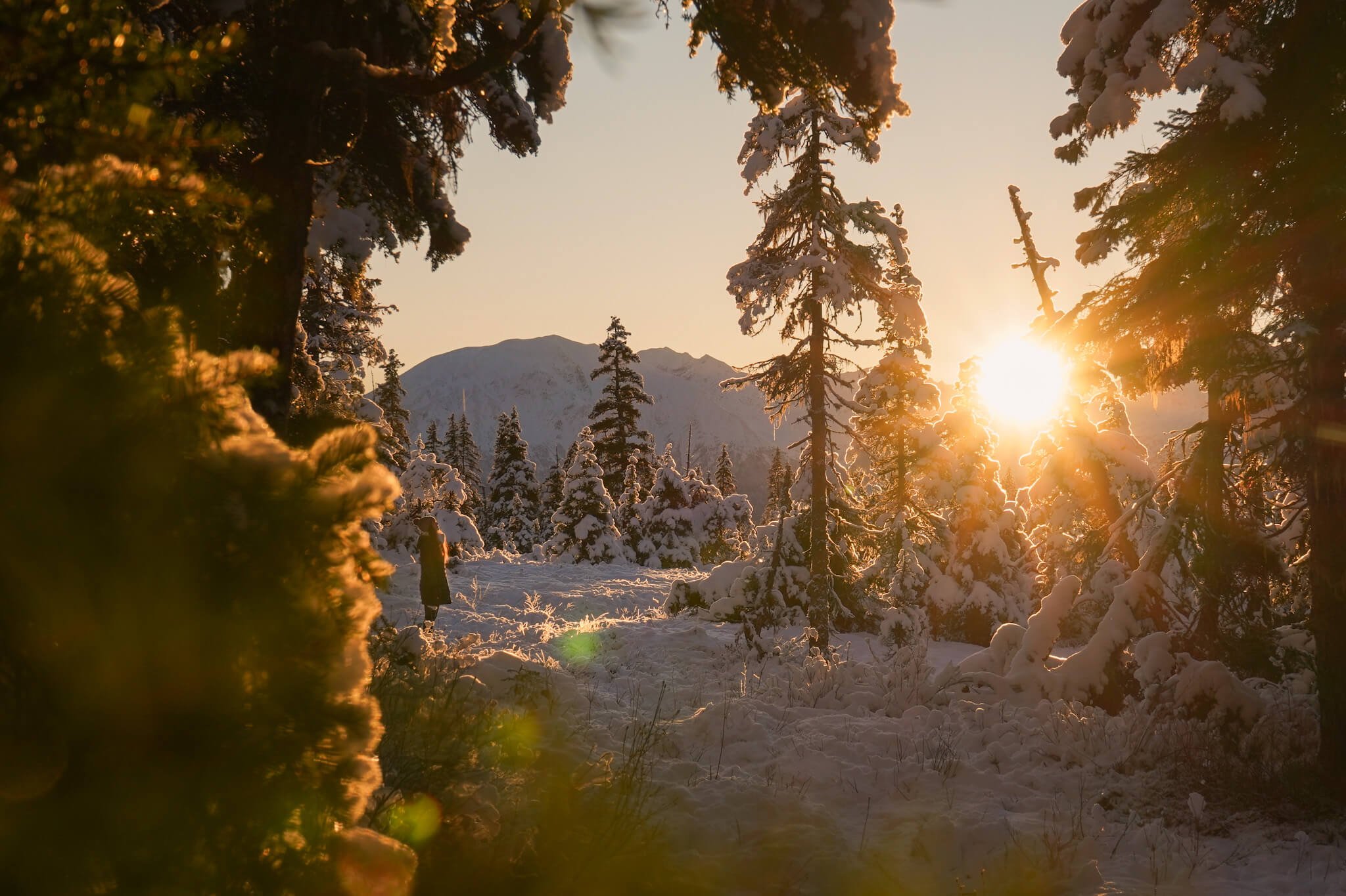 Winter Wonderland, Girdwood, Alaska