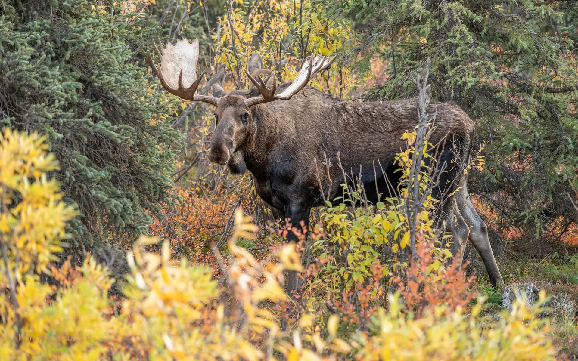 Visiting Alaska in September — Handpicked Alaska