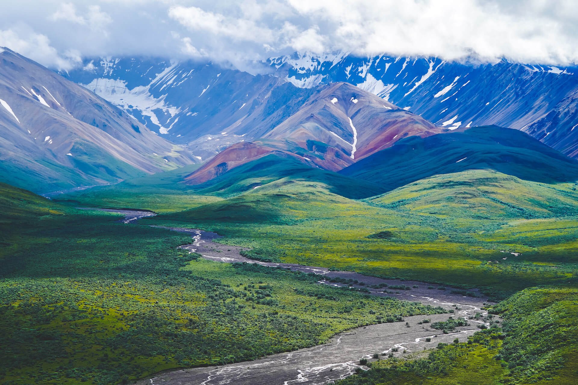 Denali National Park: What to See if You Only Have a Weekend