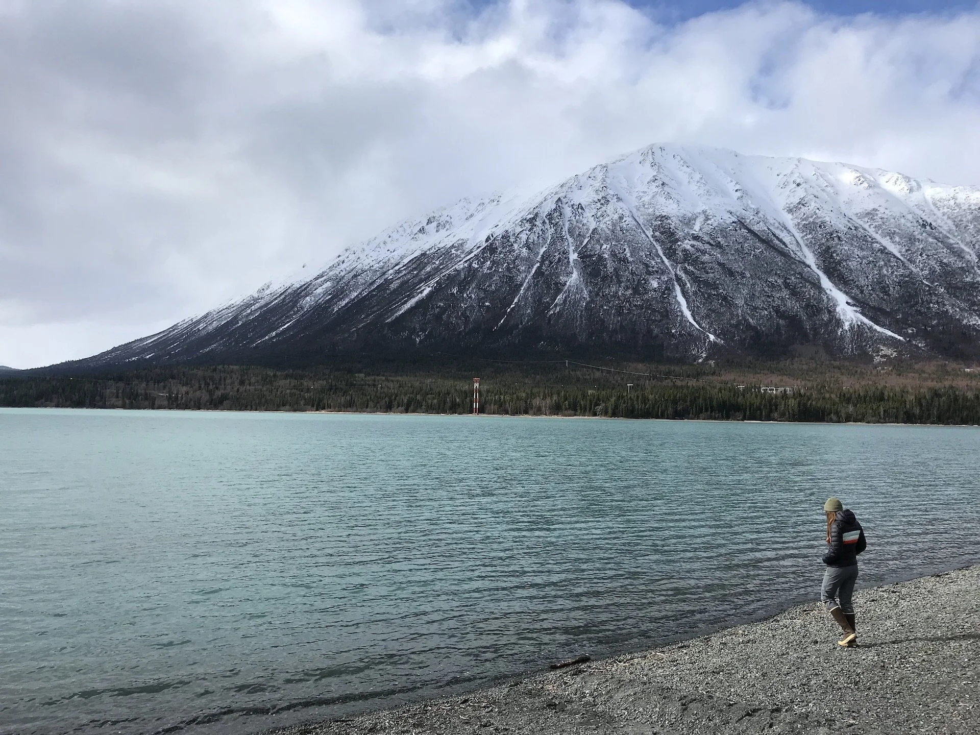 spring in alaska best time.jpeg