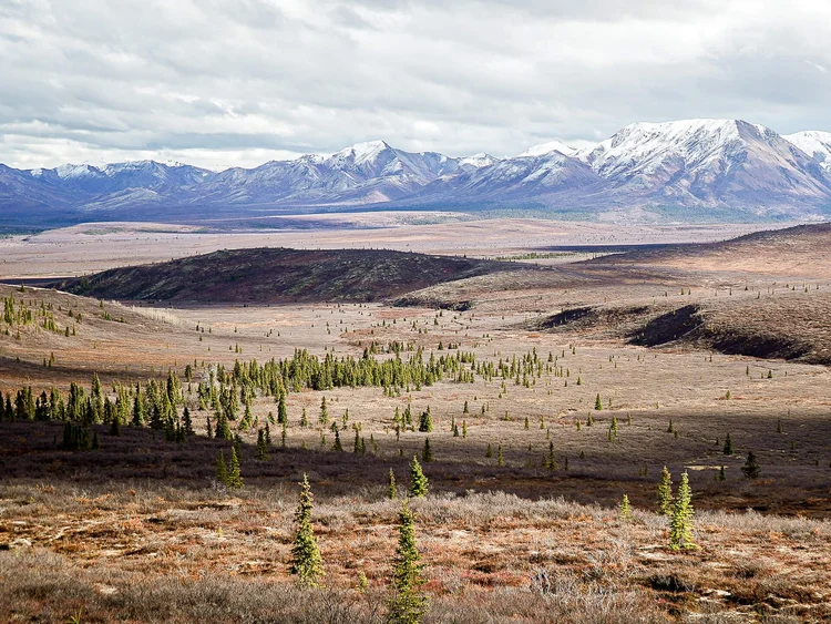 Plan Your Visit in Denali National Park 2025 Update — Handpicked Alaska