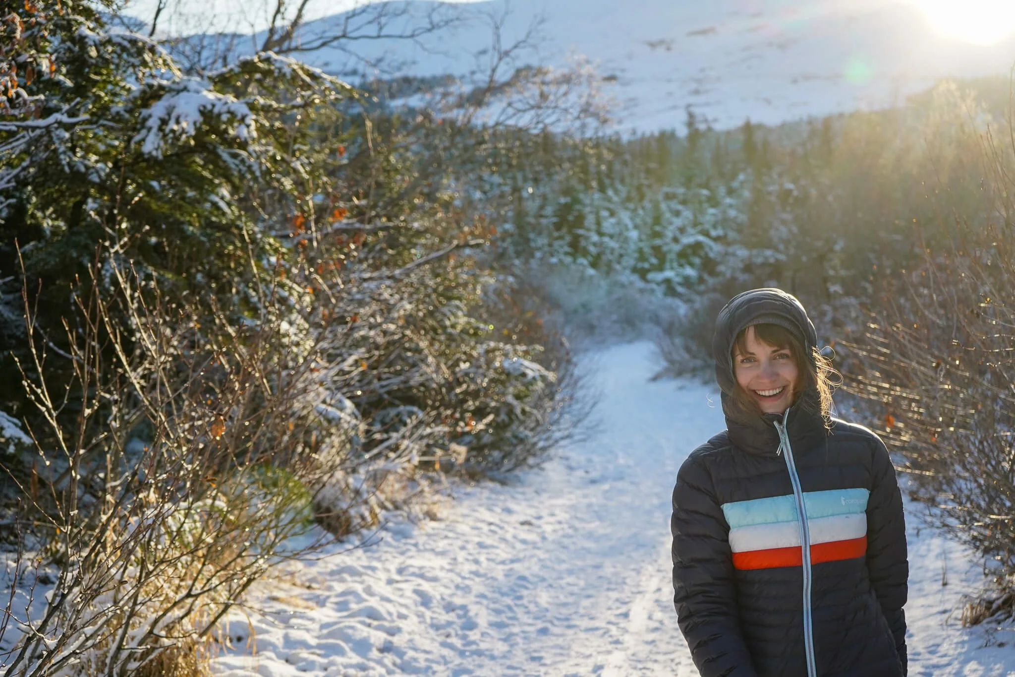 Best Time to Visit Alaska When to Travel to Alaska — Handpicked Alaska