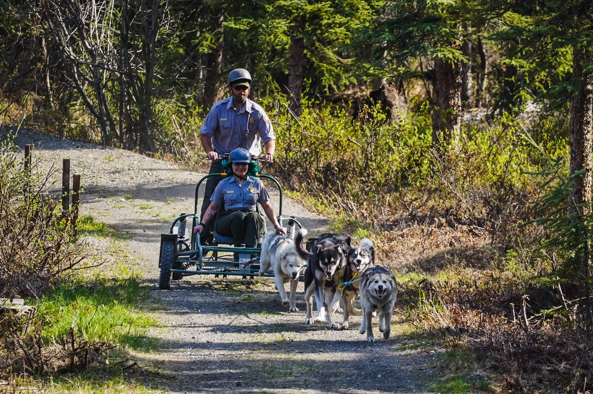 Visit Denali National Park 2023 Complete Guide — Handpicked Alaska
