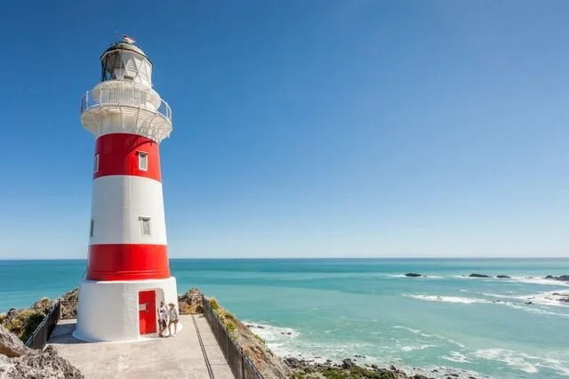 must do cape palliser web.jpg