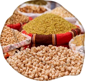 Pulse-Based Ingredients