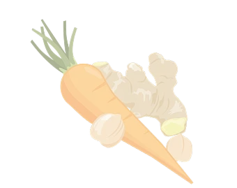 carrot