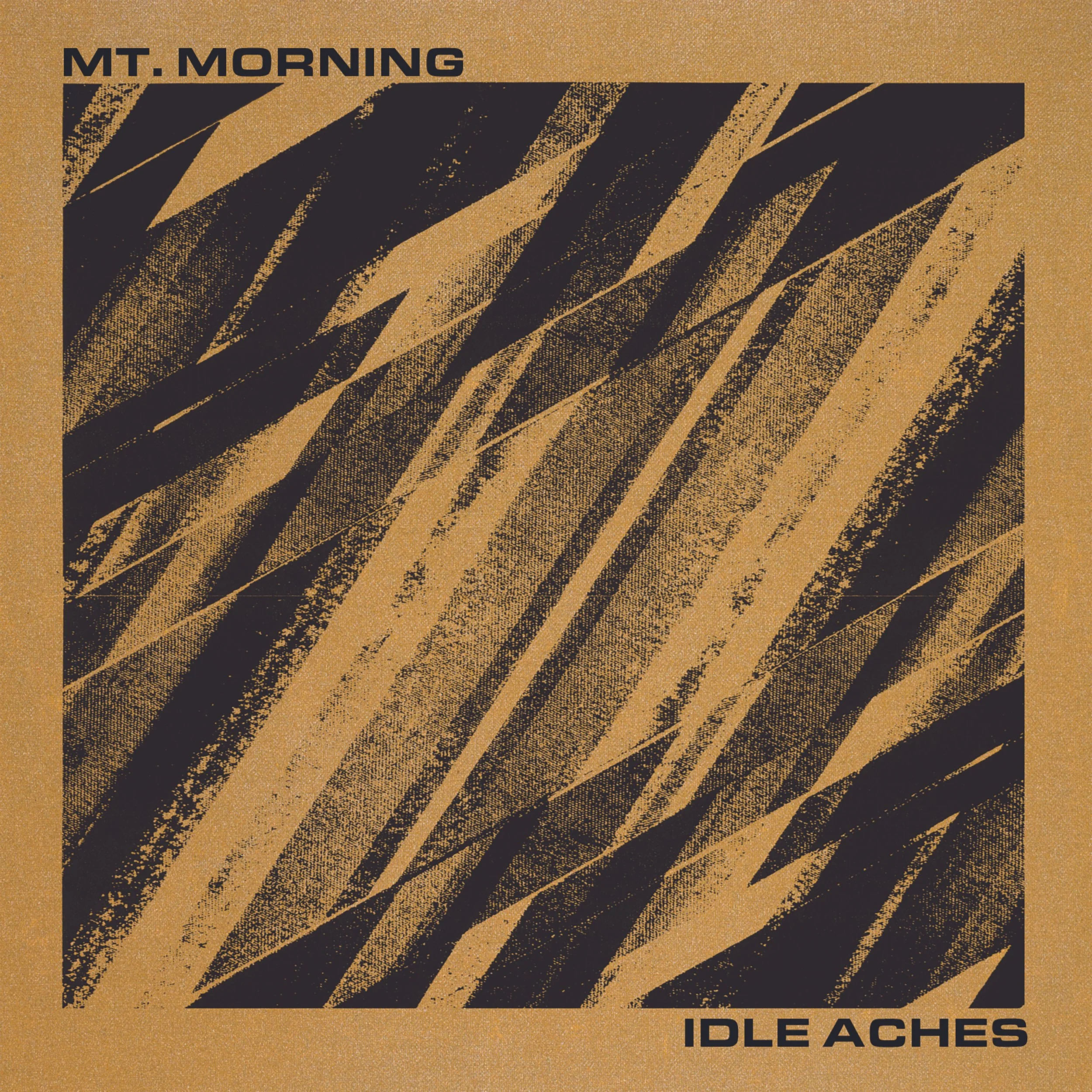 Mt.Morning Idle Aches cover Large format.jpg