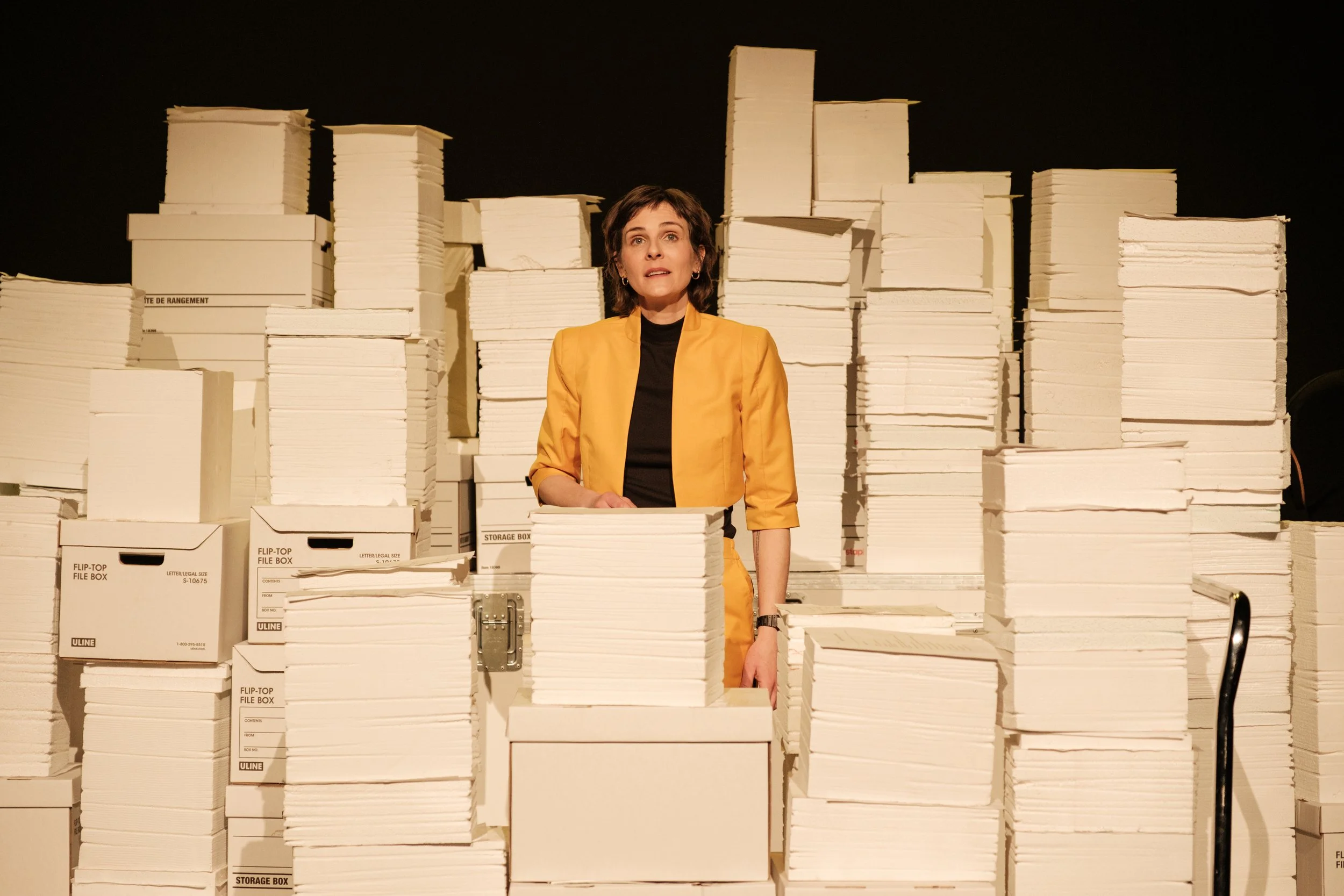 Une vie intelligente (2025)