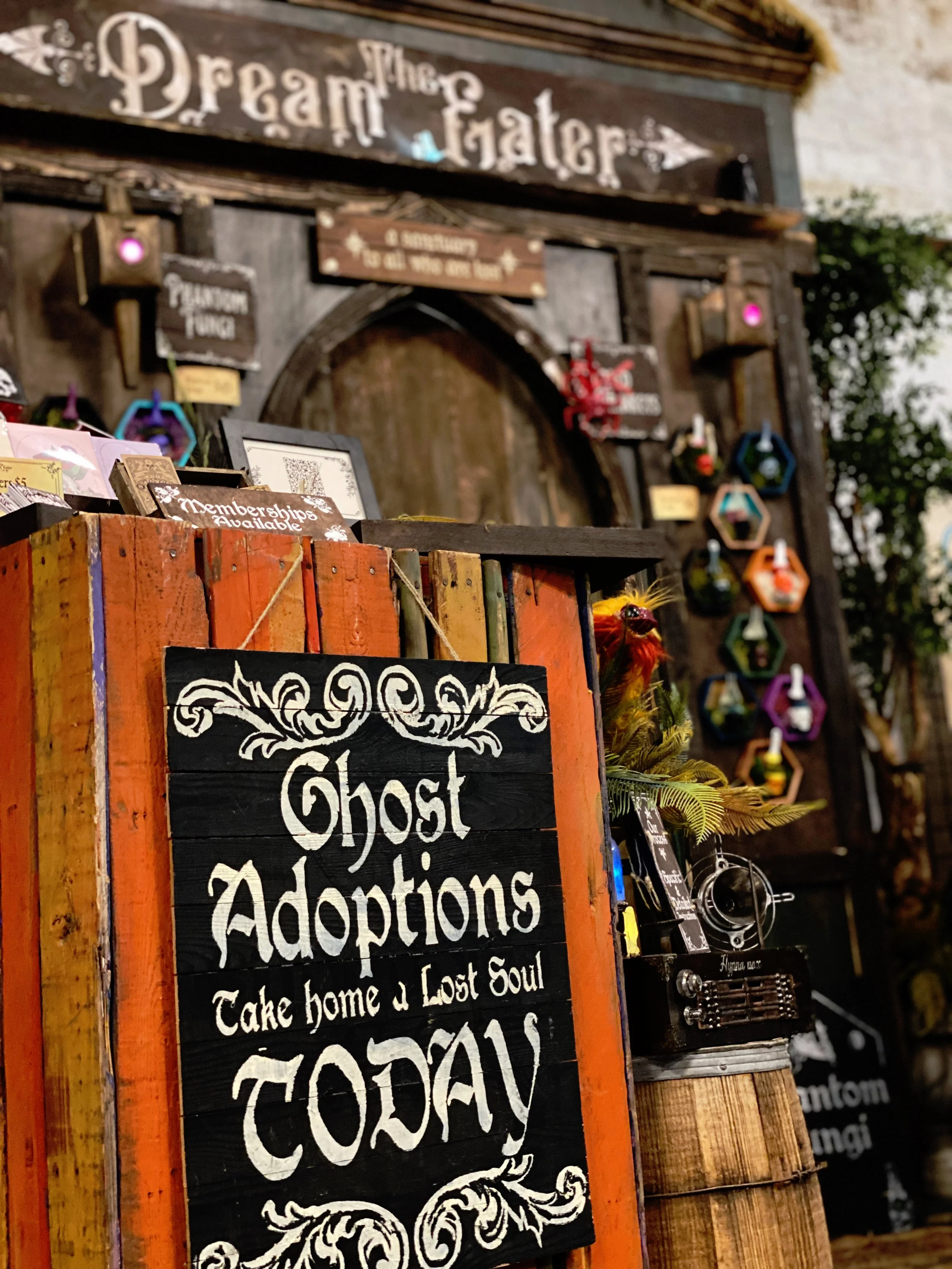 AfterlightImage 36.JPG