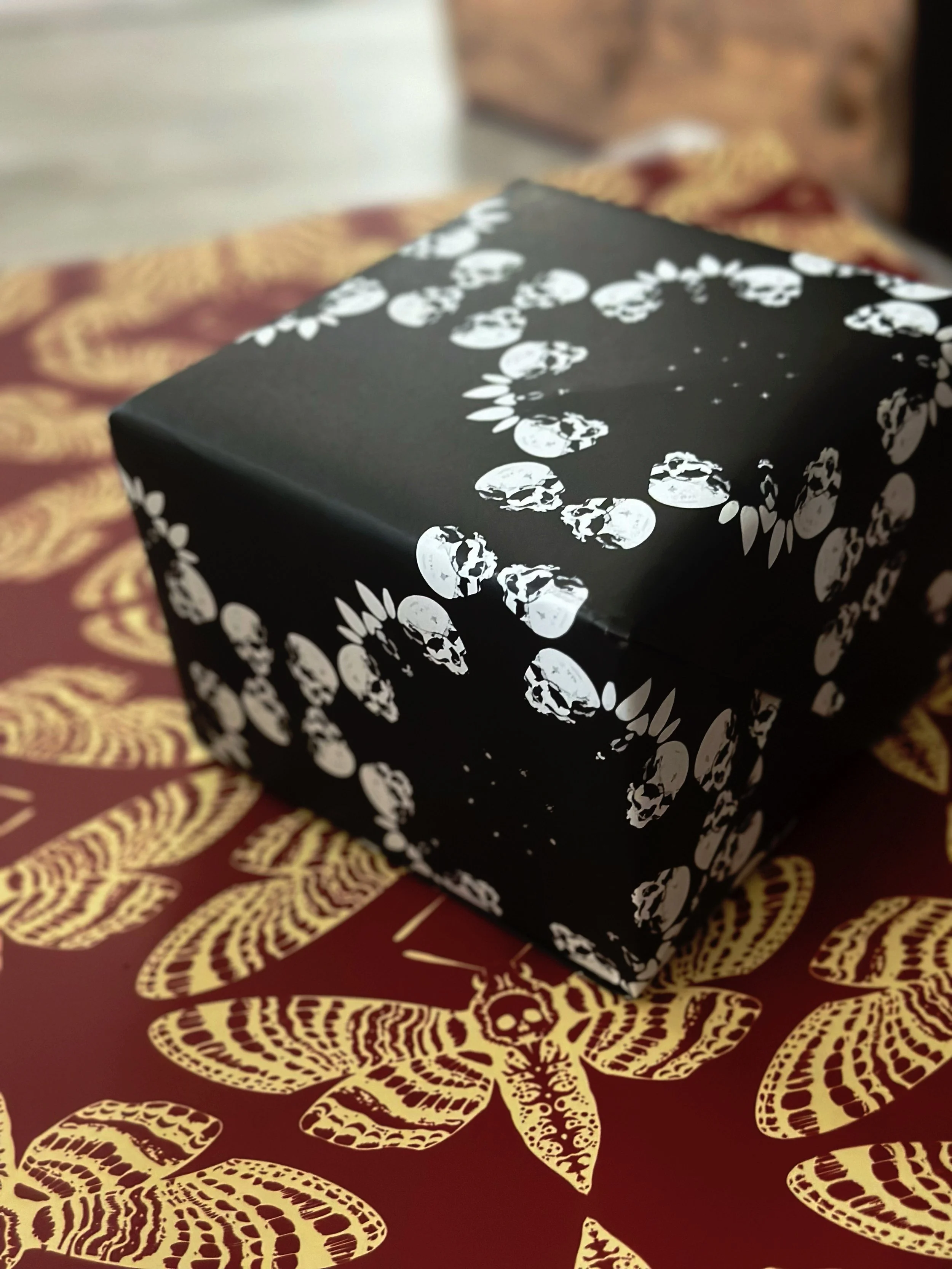 AfterlightImage 32.JPG