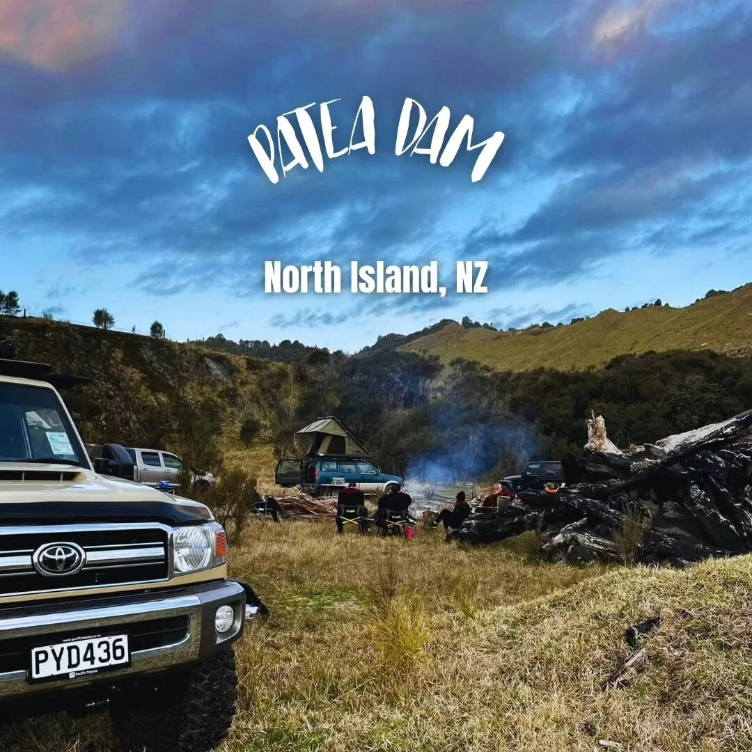 Sunny Saturday saw the girls travel to Patea dam. As we travelled along the unpaved road, we got to admire the Patea river and beautiful trees surrounding us . We arrived to idyllic scenery next to the lake where we spent the day relaxing in the warm