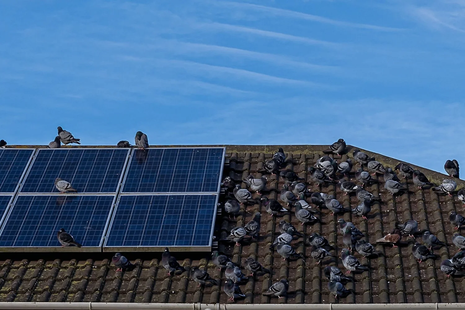 Solar Powered Farming
