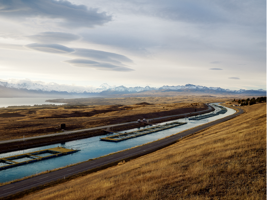 New Zealand salmon – still the best choice