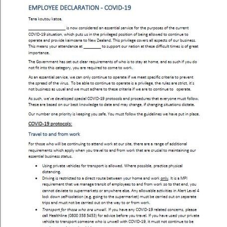 Template: Employee Declaration (Copy)