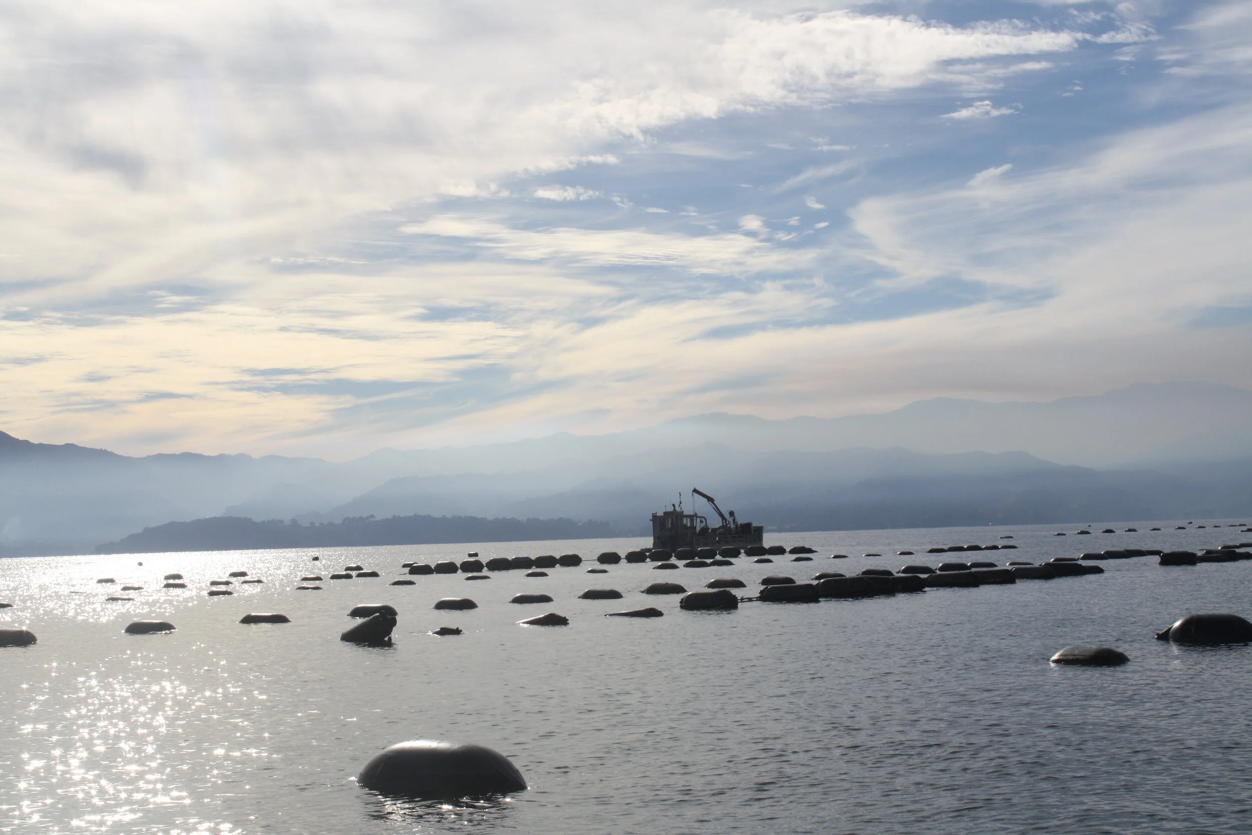 Andrew Selby - Q&amp;A