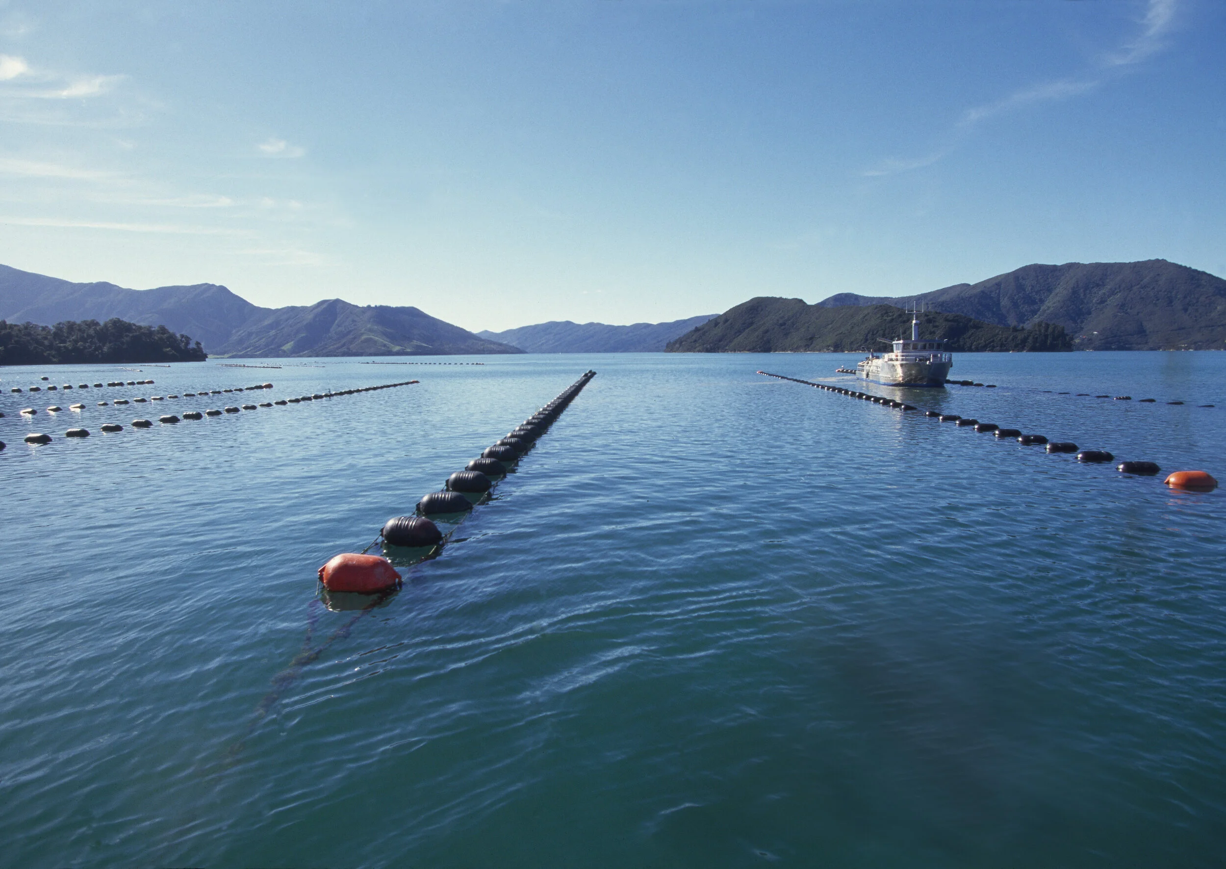 About — Aquaculture New Zealand