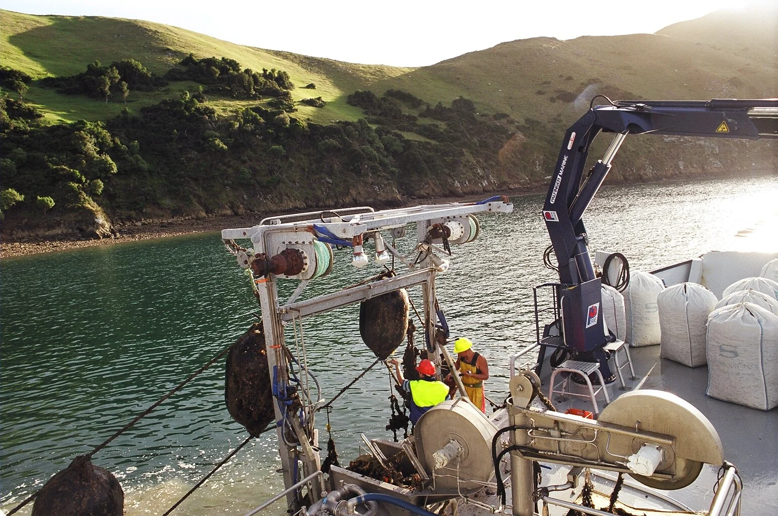 Going Large - with Jonathan Large