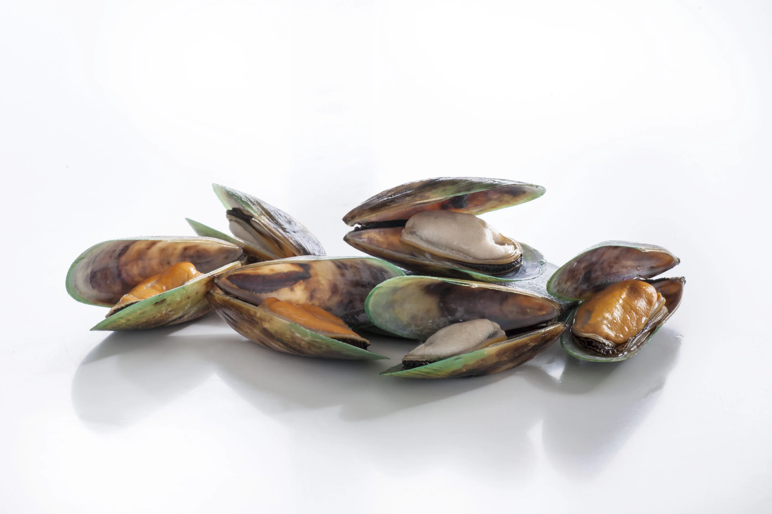 Artificial intelligence for mussels