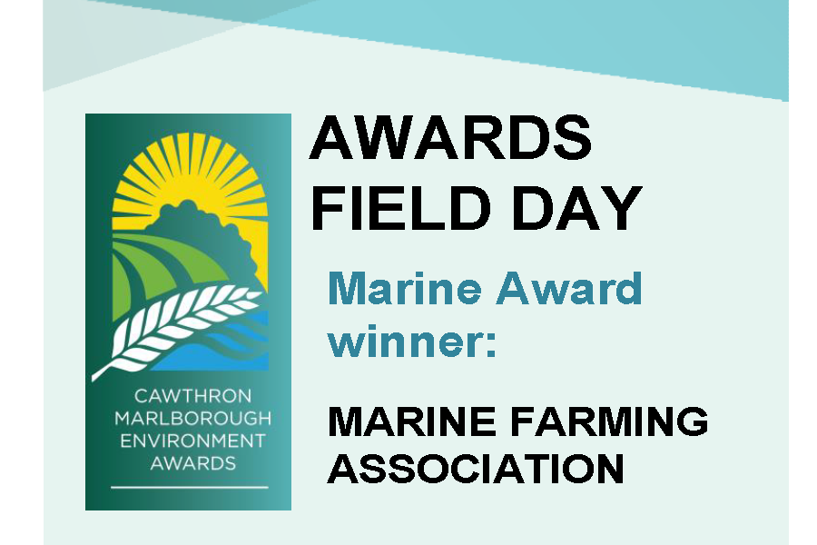 Marine Award Field Day