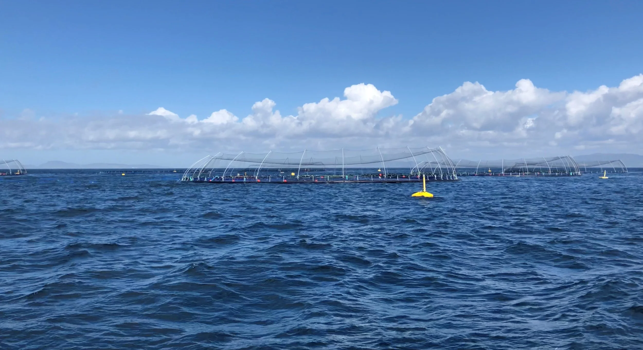 RMA reform needed to keep aquaculture moving