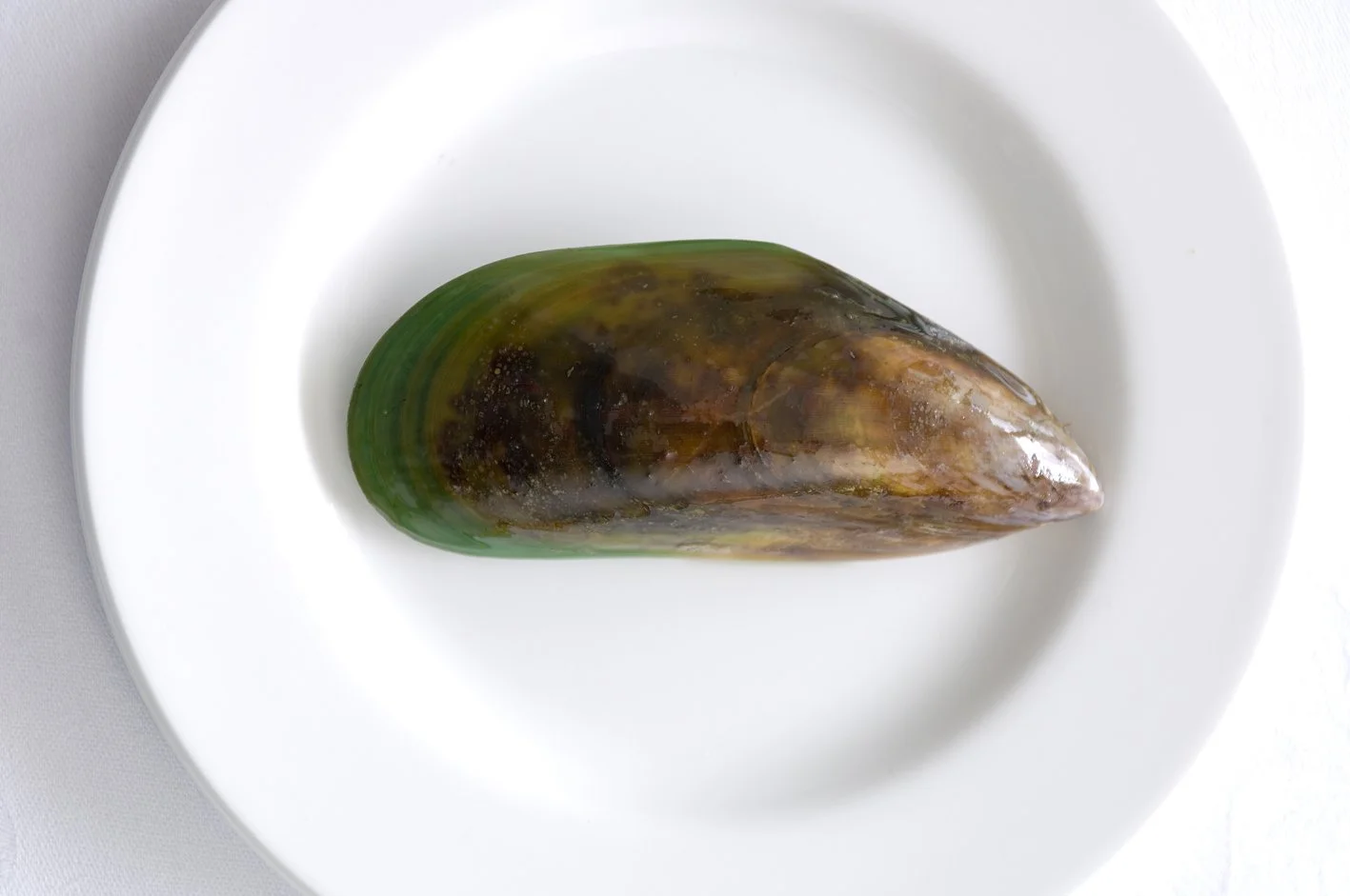 NZ-farmed shellfish match tofu’s low carbon footprint