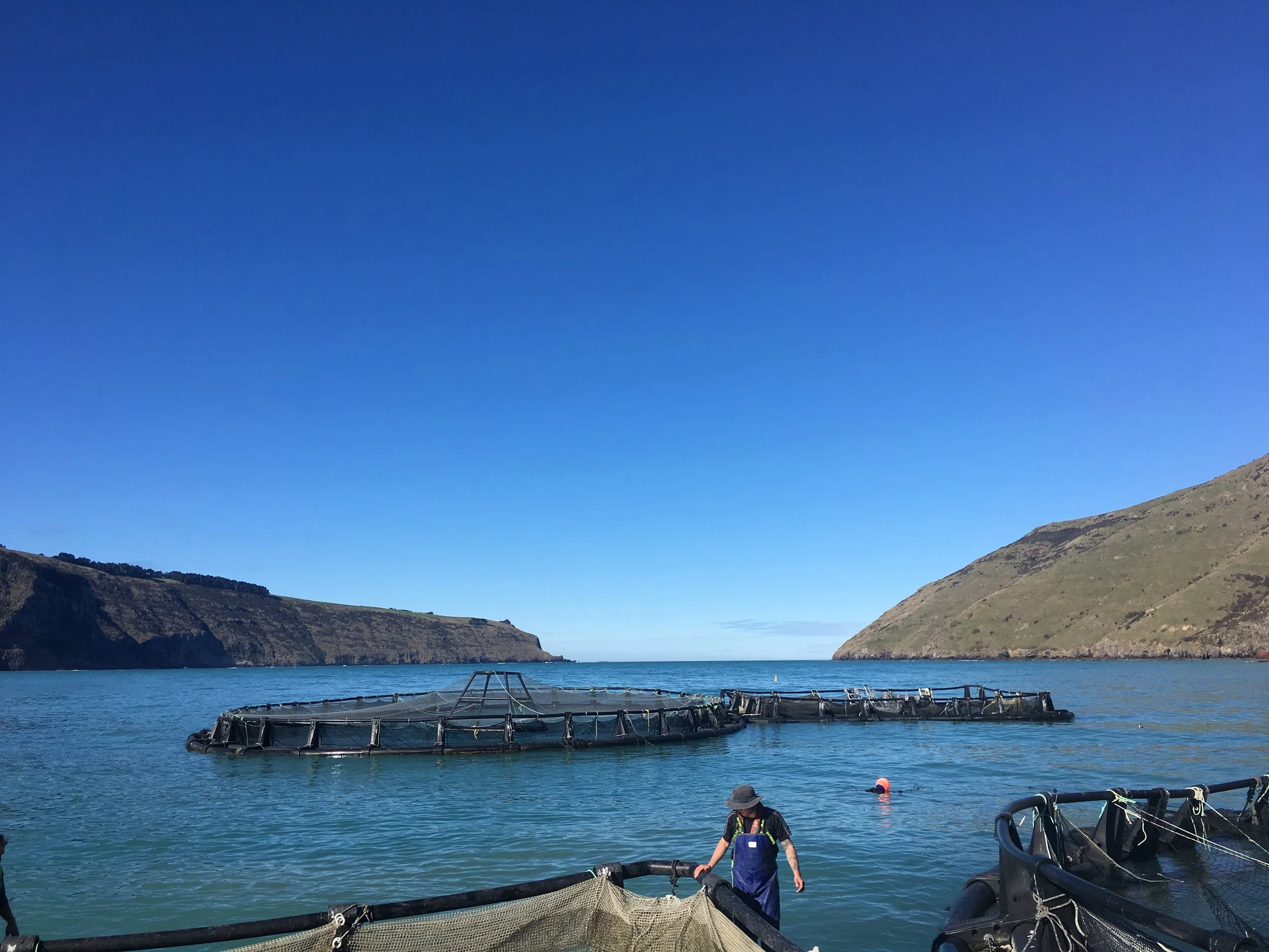 2021 A+ Sustainability Report