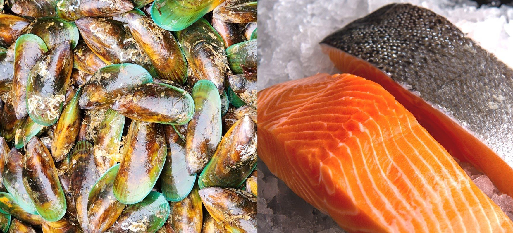Our mussels and salmon set new export records in 2023