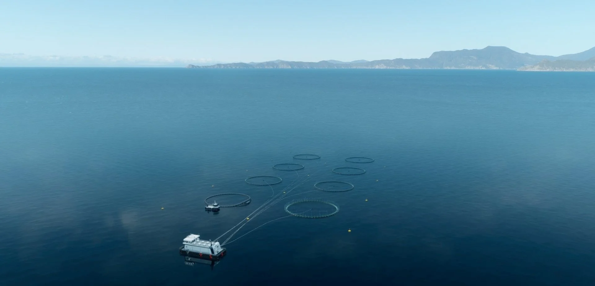 Carl Carrington - New Endeavours