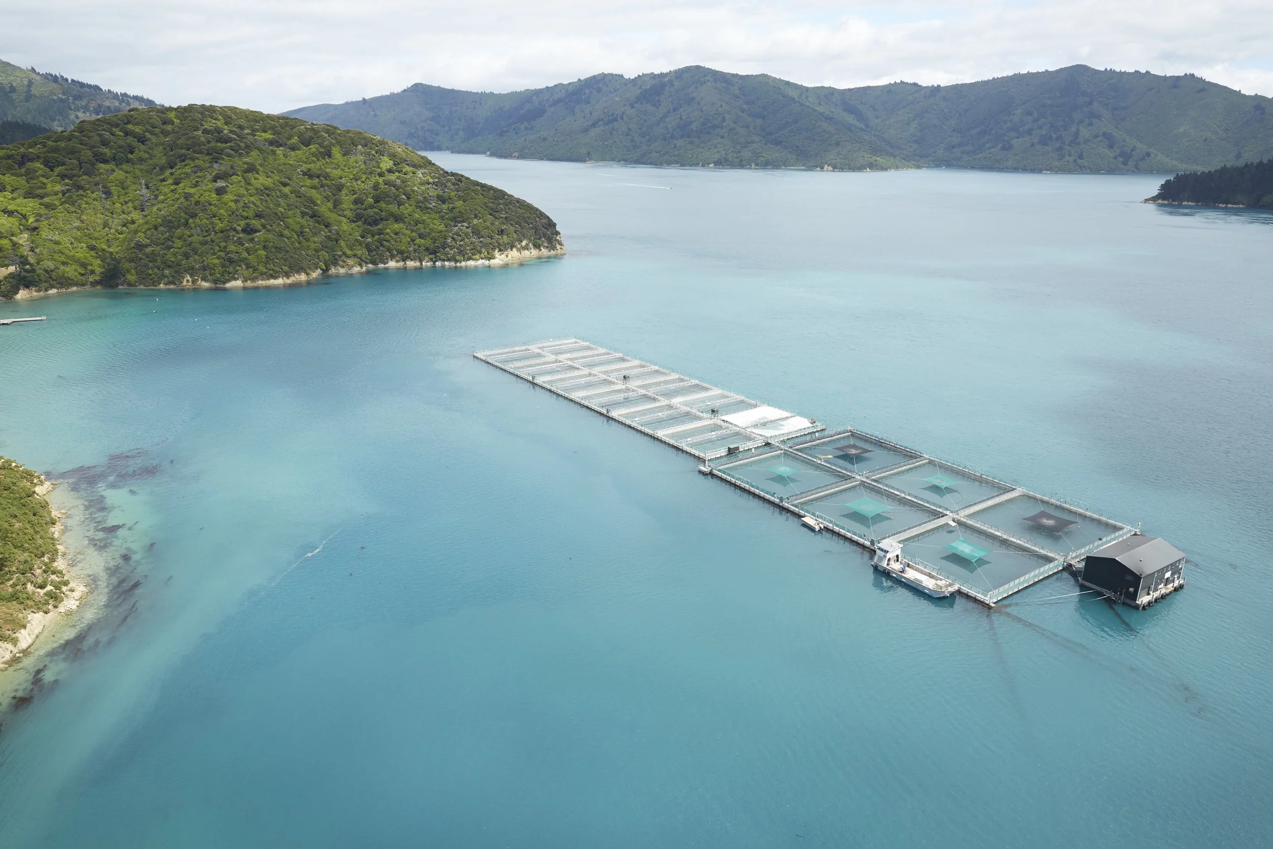 Landmark Legislation for Marine Farming