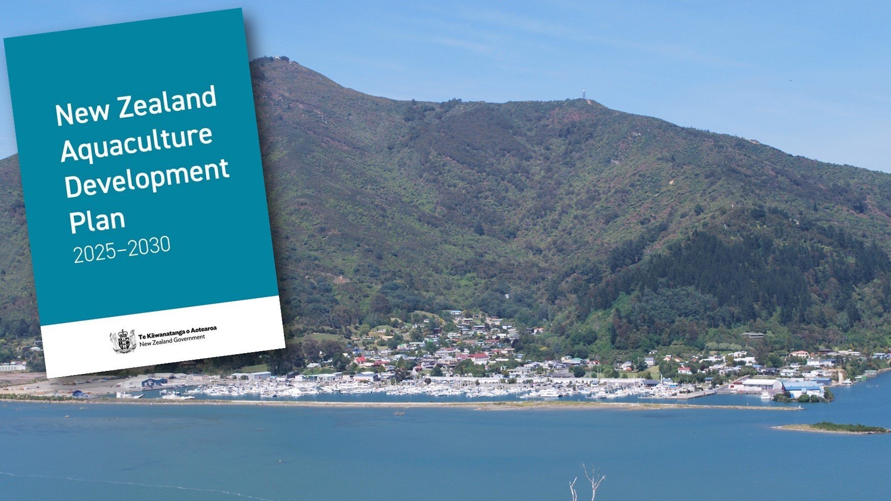 Industry welcomes Government announcements