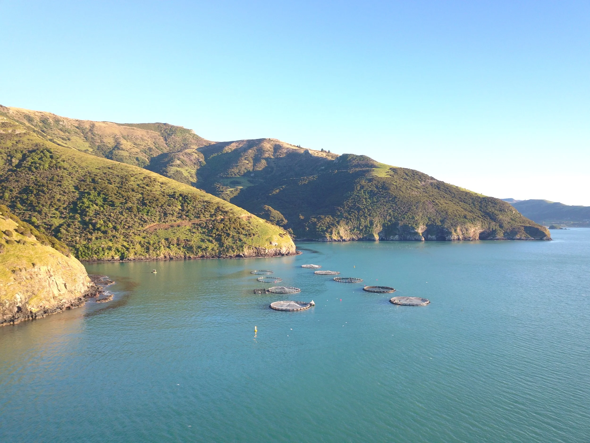 Aquaculture NZ welcomes new chair Stewart Hawthorn