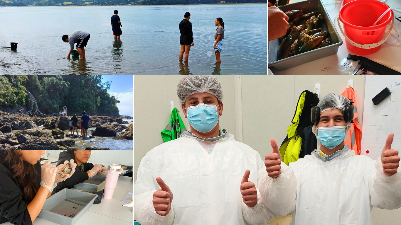 Ōpōtiki rangatahi dive into aquaculture&nbsp;