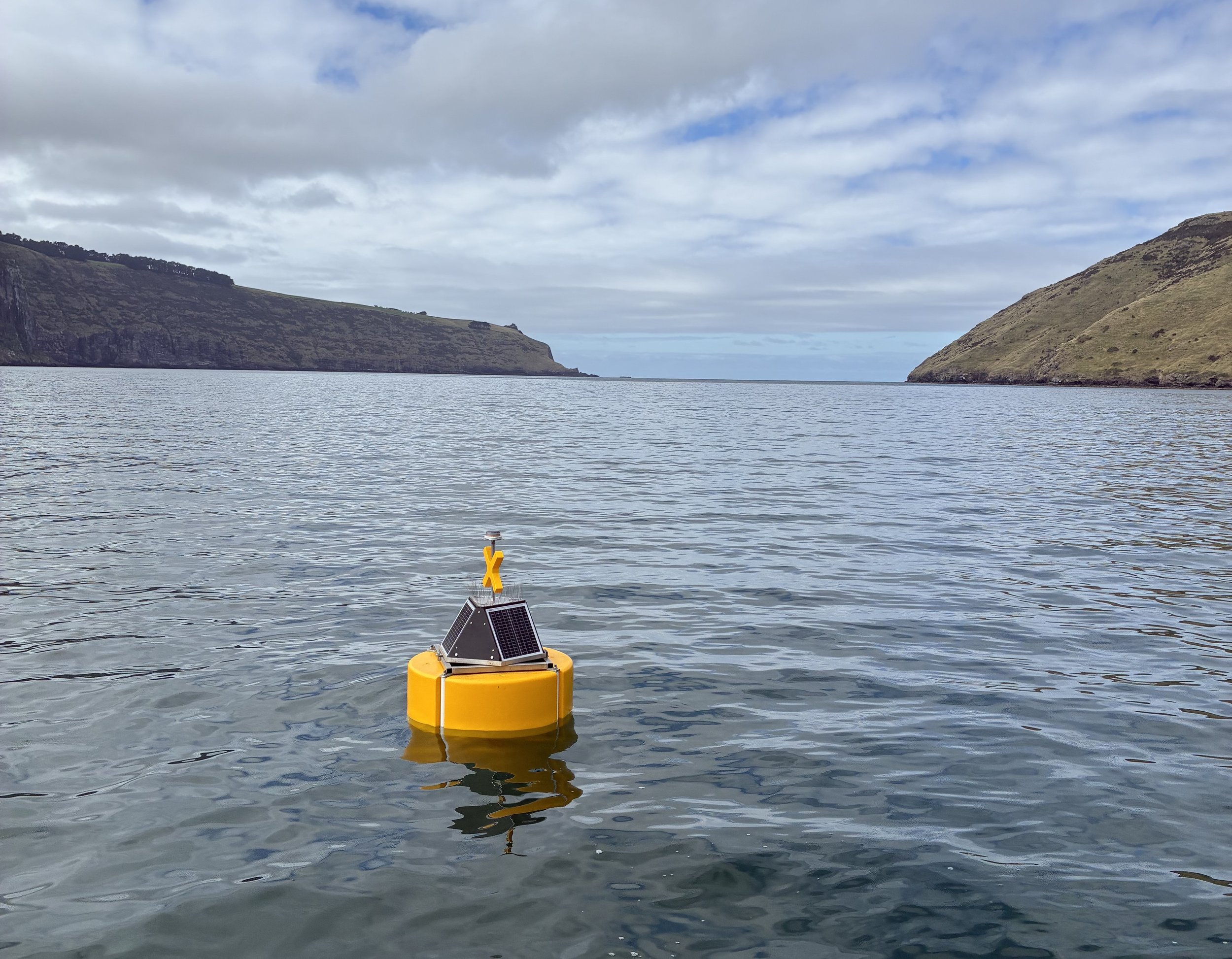 Technology turning data into meaningful insight for aquaculture