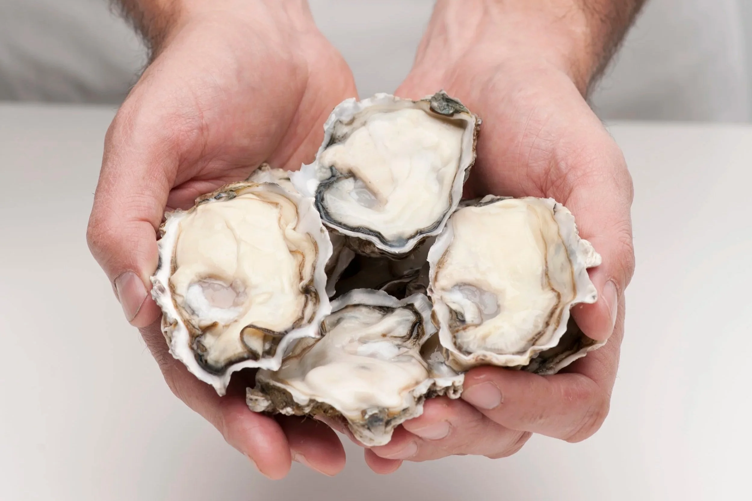 Mystery beach pods traced back to oyster theft