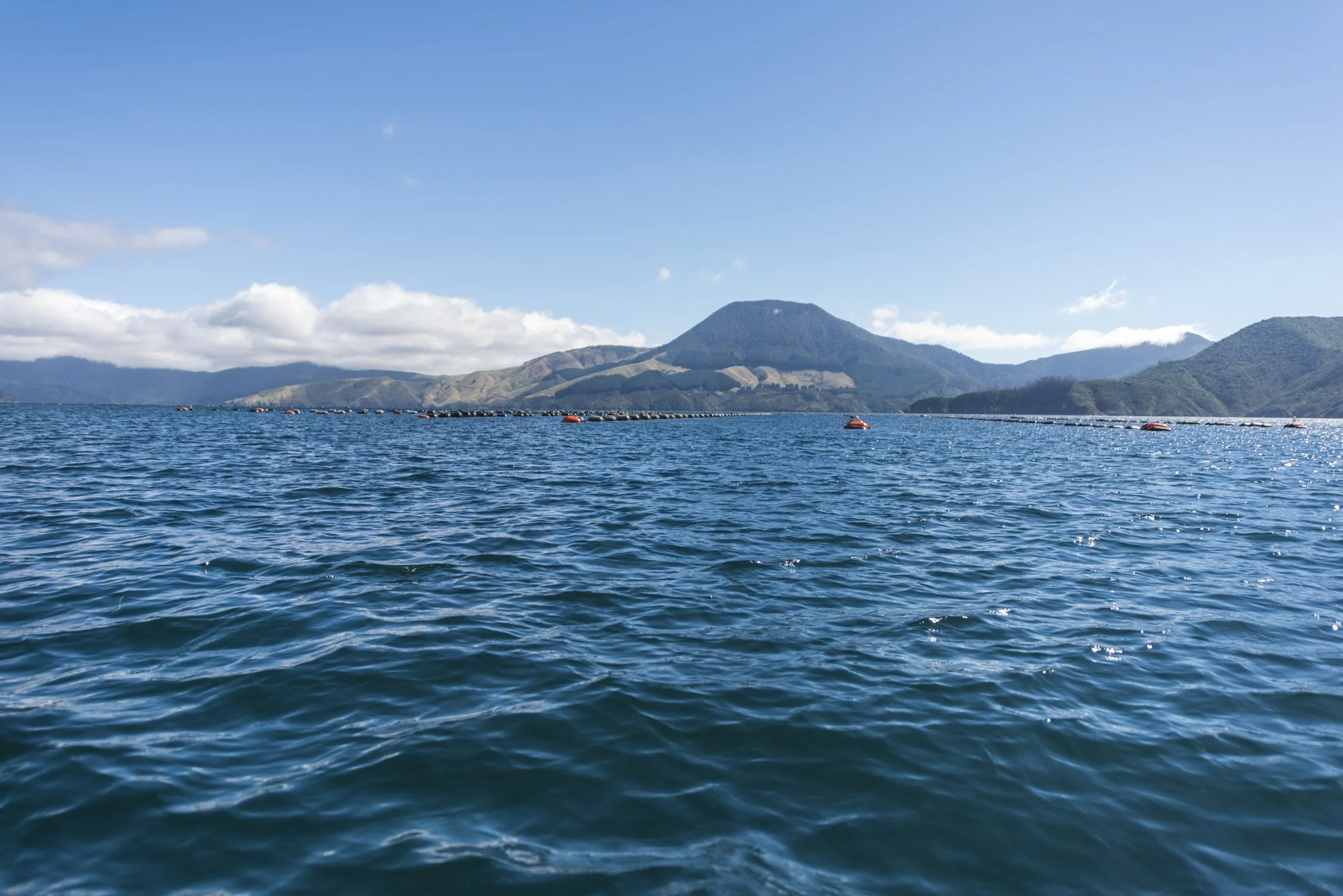 Rule changes to support aquaculture