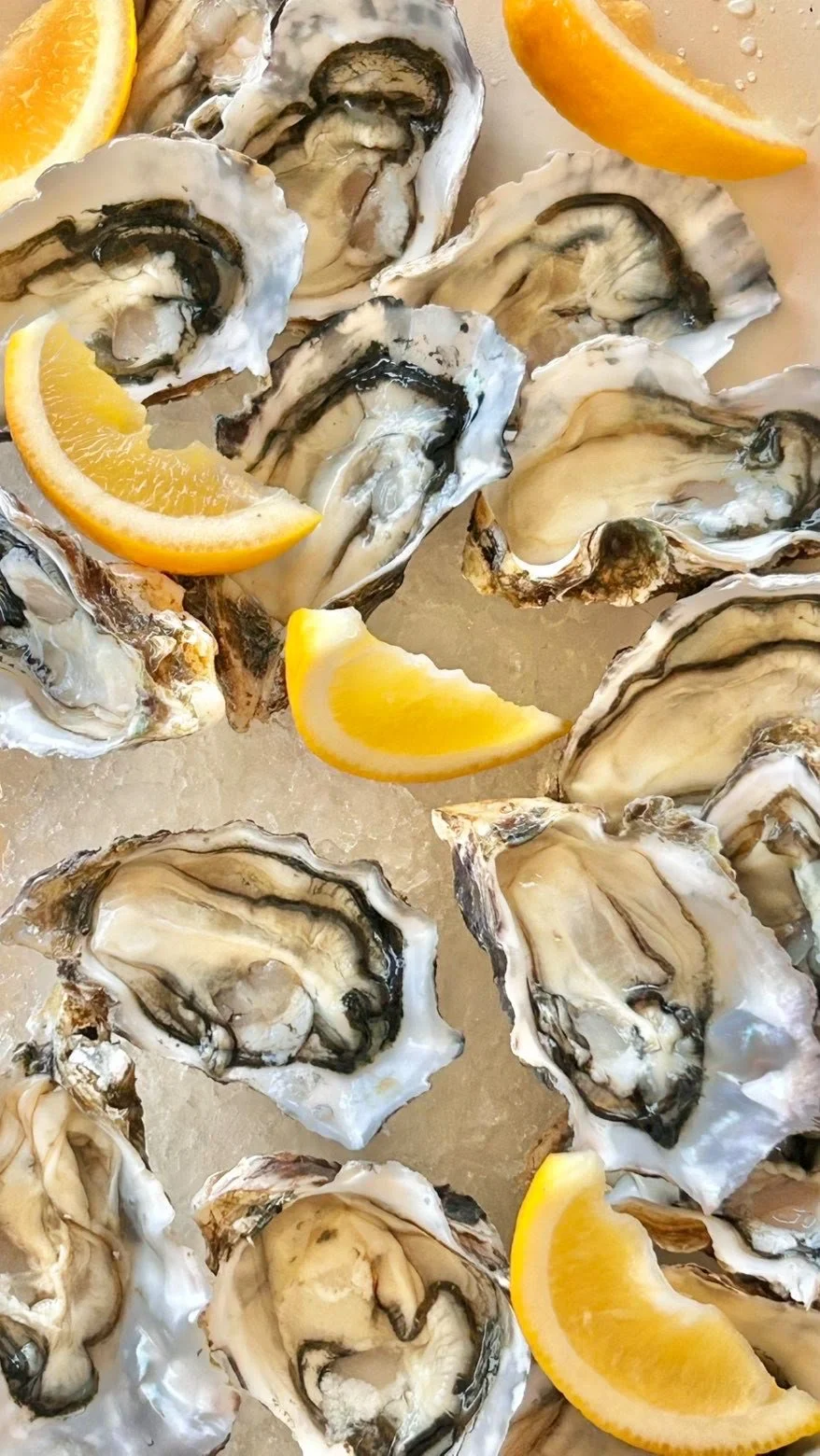 Photo of the oyster platter at the party .jpeg