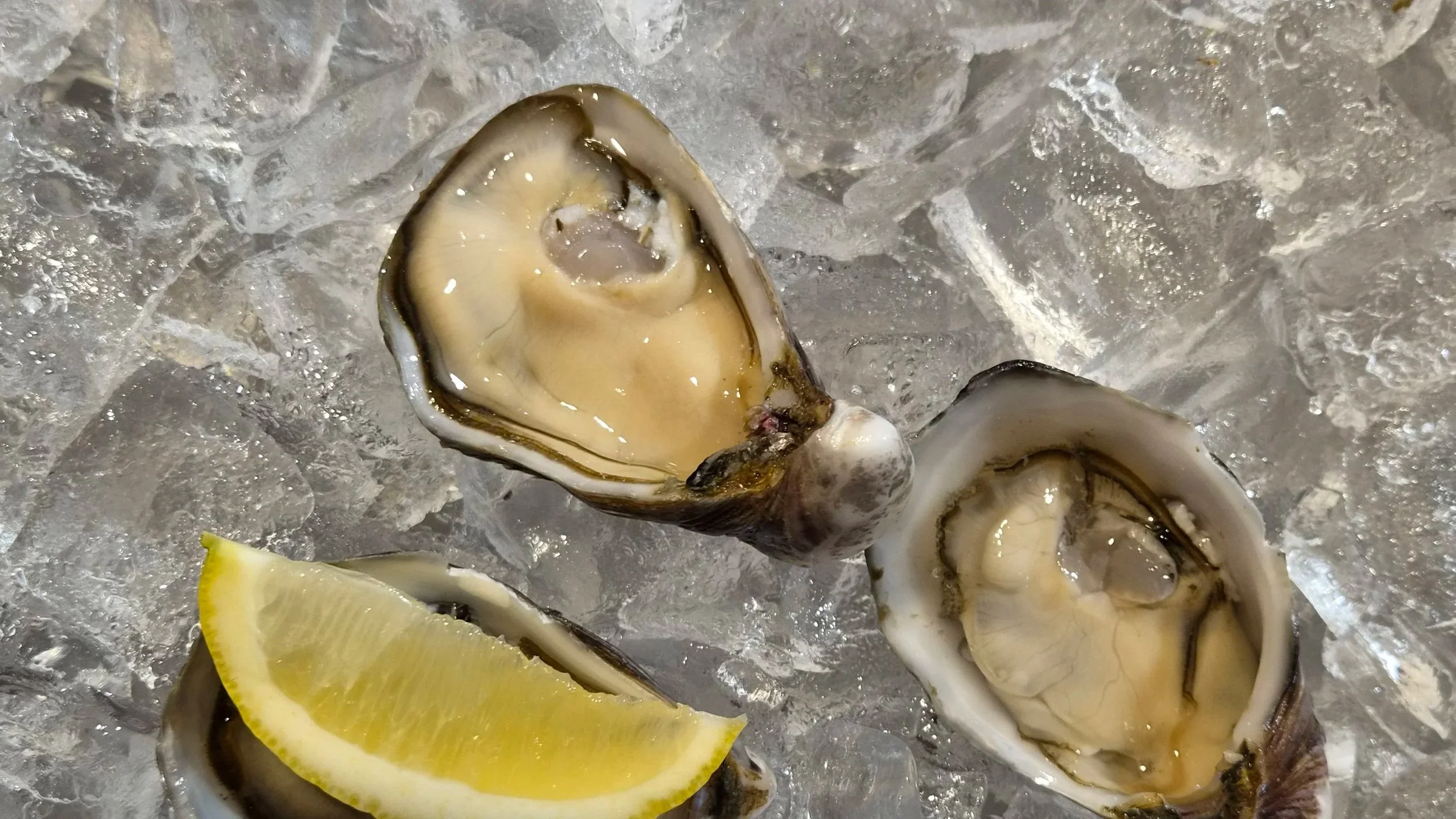 More than oysters - Tee’s take on the oyster conference