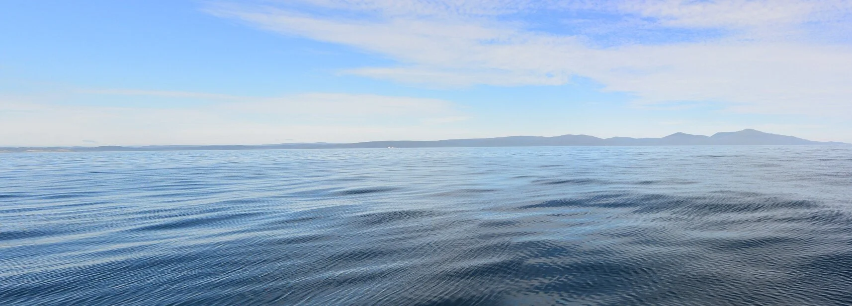 A milestone moment for New Zealand aquaculture