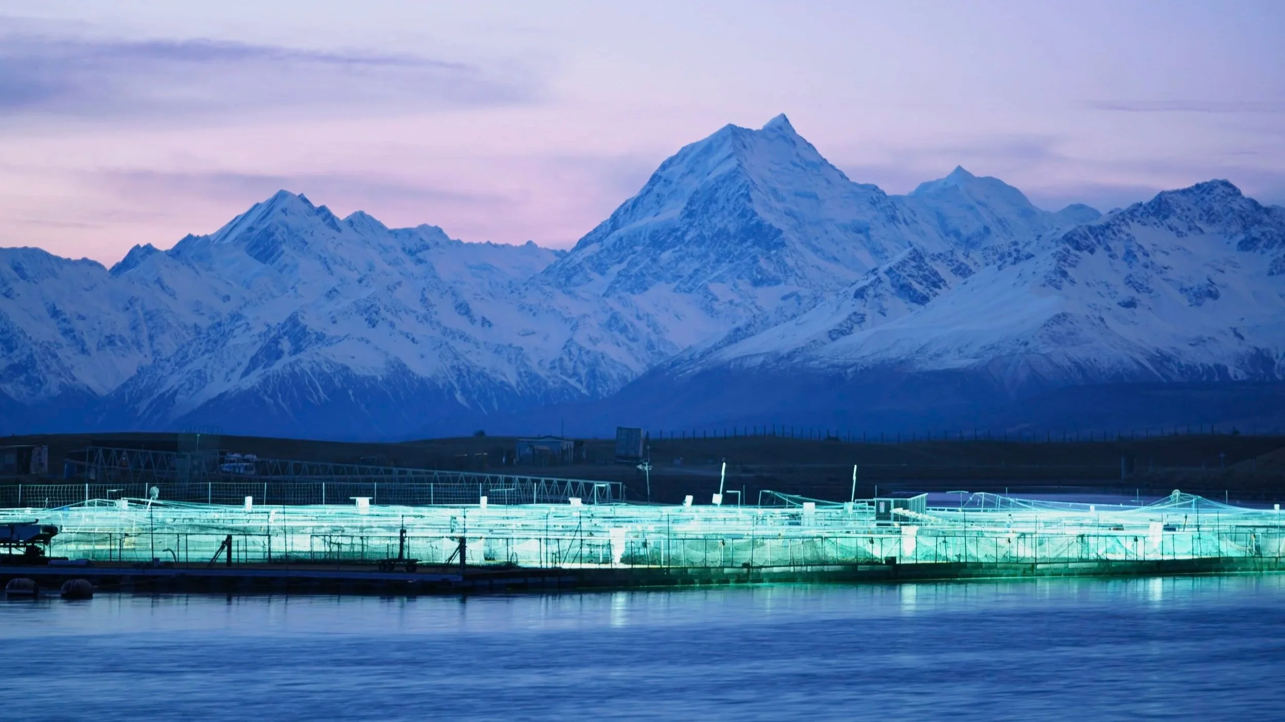 Twizel innovation lights up salmon farms