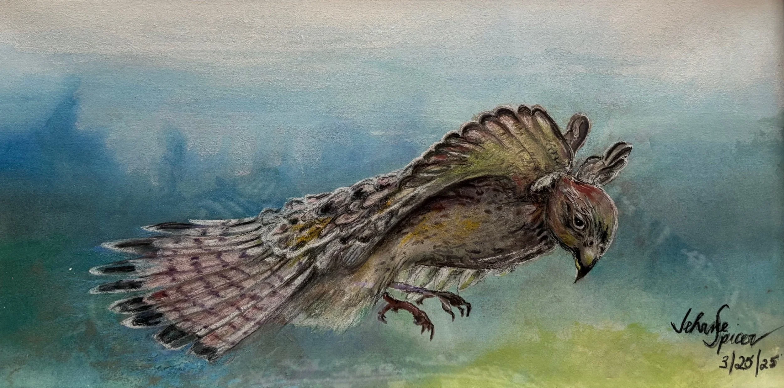 Janes_raptor.jpeg